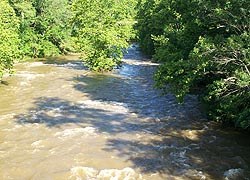 [photo, Big Gunpowder Falls (tributary of Gunpowder River), Baltimore County, Maryland]