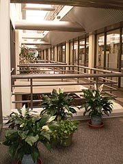 [photo, Atrium, Wayne A. Cawley, Jr. Building, 50 Harry S Truman Parkway, Annapolis, Maryland]