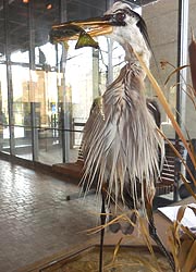 [photo, Tawes State Office Building lobby, 580 Taylor Ave., Annapolis, Maryland]