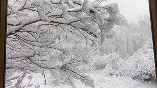 [photo, Snow, Glen Burnie, Maryland]