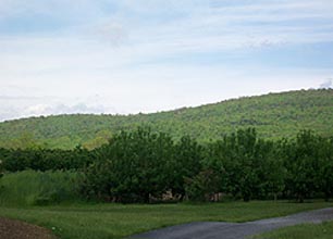 [photo, Catoctin Mountain National Park, Thurmont (Frederick County), Maryland]